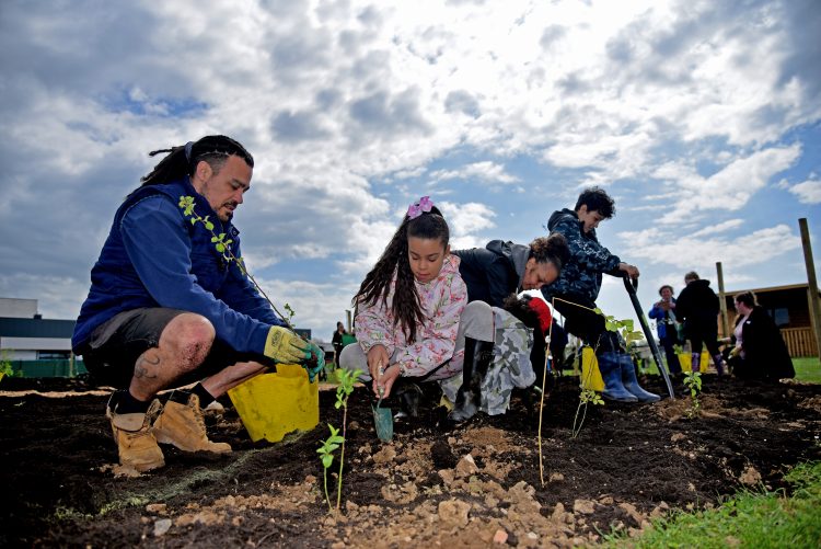 Leicester Time: TINY FORESTS IN LEICESTER WILL HELP CELEBRATE THE COMMONWEALTH GAMES