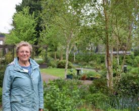 Leicester Time: Rehabilitation Garden Opens at Leicester Hospital to Support Intensive Care Patients