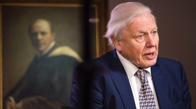 Leicester Time: SECOND KNIGHTHOOD FOR SIR DAVID ATTENBOROUGH