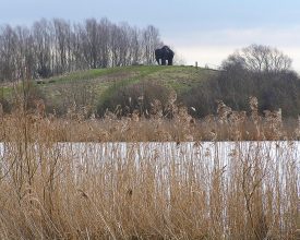 Leicester Time: COUNTRY PARK BIRD HIDE NAMED IN HONOUR OF LEICESTERSHIRE RESIDENT