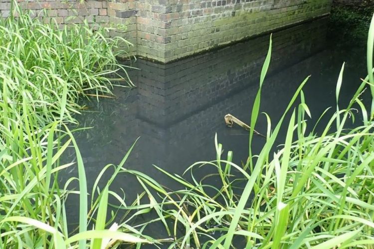 Leicester Time: LEICESTERSHIRE FARMER PAYS OVER £15,000 FOLLOWING ILLEGAL BROOK POLLUTION