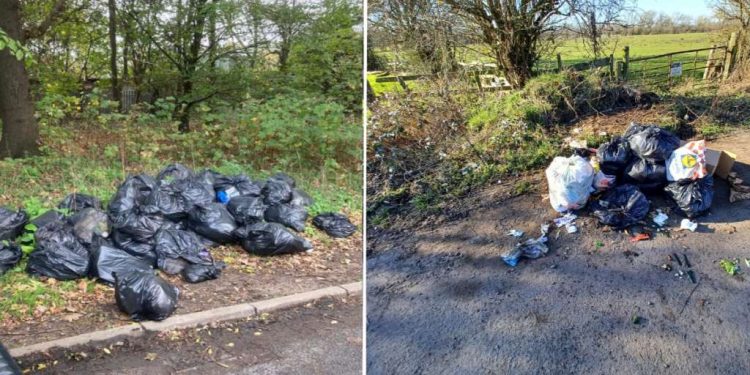 Leicester Time: Charnwood Residents Hit With Fines for Fly-Tipping and Poor Dog Control