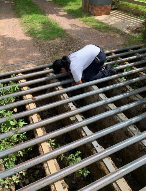 Leicester Time: RSPCA Rescues Goose Trapped in Leicestershire Cattle Grid