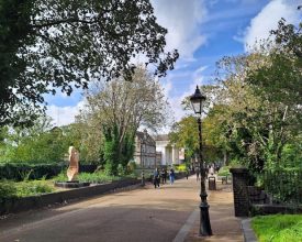 Trees to be Felled on part of Historic Leicester Route