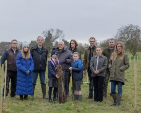 More than 5,000 trees to be planted at Bradgate Park