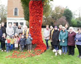 Stunning poppy display installed in Leicestershire Park ahead of Remembrance Sunday