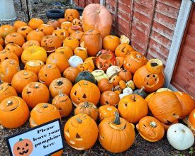 Have a smashing time at Leicester pumpkin composting event