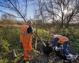 More trees and new tiny forests to be planted in Leicestershire