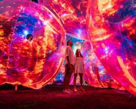 Leicester to light up in March with spectacular events and luminous artworks