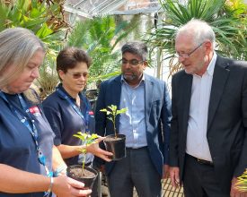  Hiroshima Survivor Tree Seeds Take Root in Leicester for VJ Day Anniversary