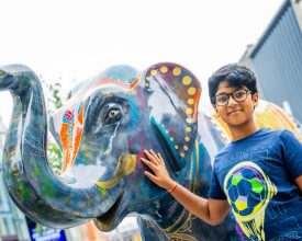 Stomp Round Leicester Elephants Gather for Farewell Event and Charity Auction