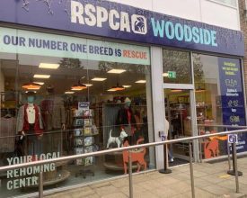 RSPCA appeal for help after charity shop break-in