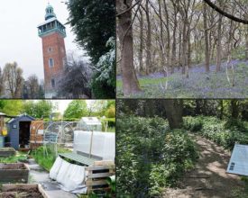 Loughborough Strikes Gold Once Again at East Midlands in Bloom Awards 2025