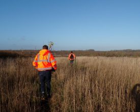 Leicestershire’s Newest Nature Corridor Emerges in the North West