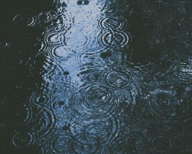 Leicester, Leicestershire and Rutland hit by second wettest February on record